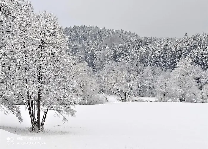 Mediterran-skandinavisch-2 Διαμέρισμα Burgthann